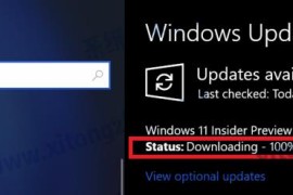 Windows11更新卡在100%怎么解决？