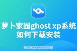 萝卜家园ghost xp系统如何下载安装