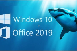 Windows11 Office2019等激活密钥分享 Windows11 Office2019激活密钥大全
