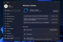 Cumulative Update for Windows11(10.0.22000.132)(KB5005190)更新失败如何办？