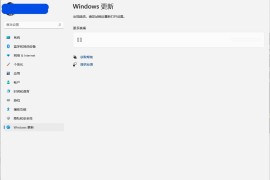 Windows11更新设置界面打不开如何办？