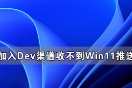 加入Dev渠道收不到Win11推送如何办？
