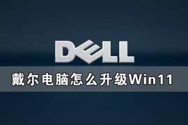 戴尔电脑如何升级Win11 戴尔电脑升级Win11系统教程