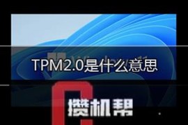 TPM2.0是什么意思?各主板怎么开启TPM2.0(附品牌机开启tpm2.0方法)