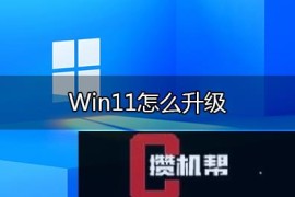 windows11如何升级？升级windows11多种方法(支持跳过tpm2.0检测)